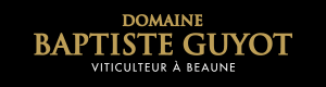 Logo Domaine Baptiste Guyot